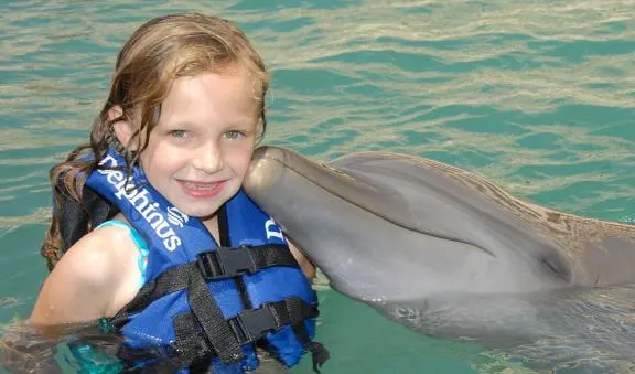 Dolphin Swim Adventure in PDC and Puerto Aventuras<br>