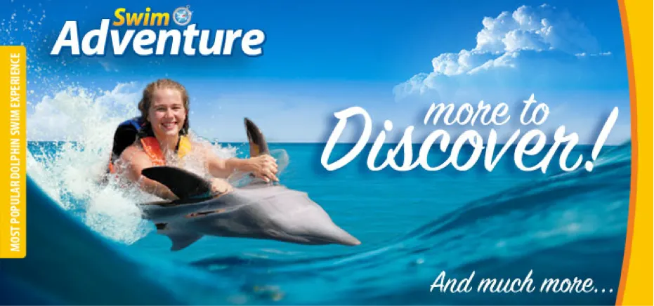 Dolphin Swim Adventure At Cozumel