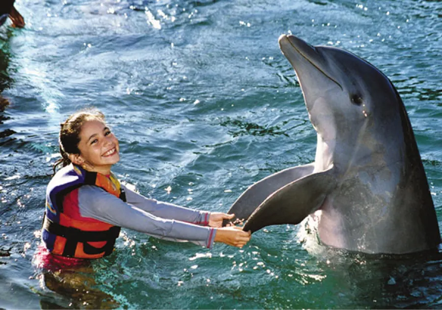 Dolphin Swim Adventure At Cozumel — 4