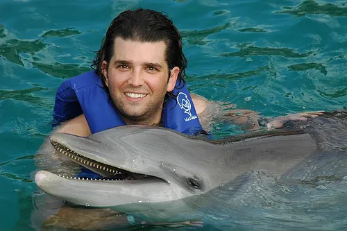 Swim with Dolphins Advance Program in the Aquarium in Cancun — 4