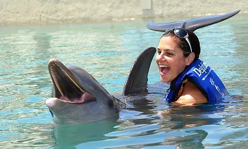 Swim with Dolphins Advance Program in the Aquarium in Cancun — 5