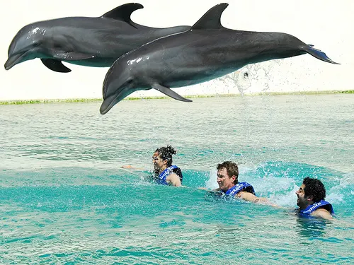 Xel-Ha and Dolphinclusive Ride