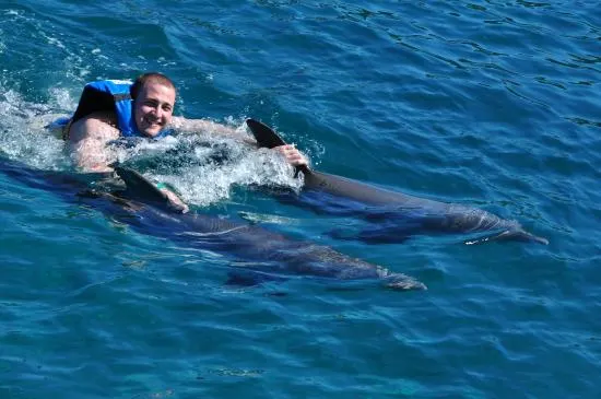 Royal Garrafon VIP and Royal Dolphin Swim — 3