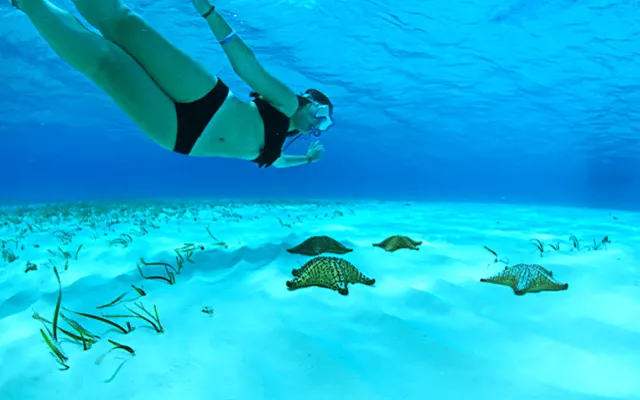 Cozumel Snorkel el Cielo