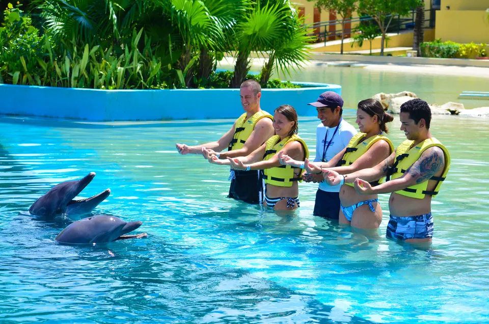 Dolphin Trainer For One Day in Xel Ha — 3