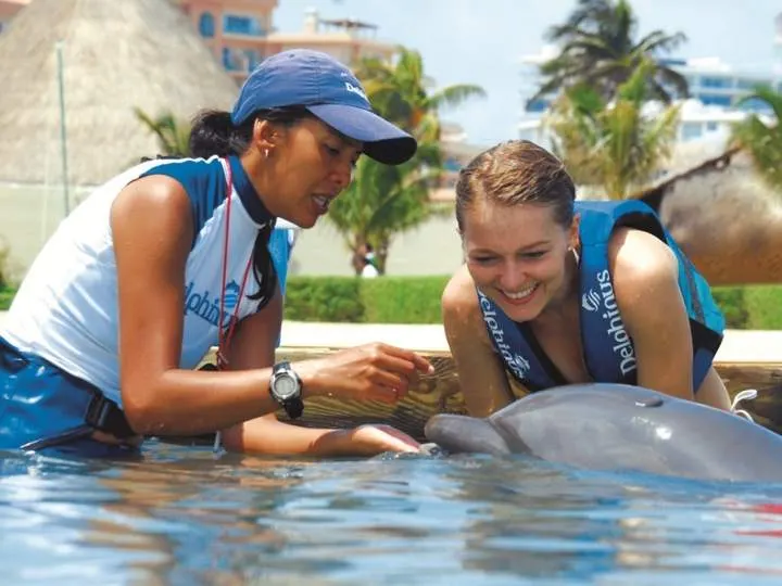 Dolphin Trainer For One Day in Xel Ha