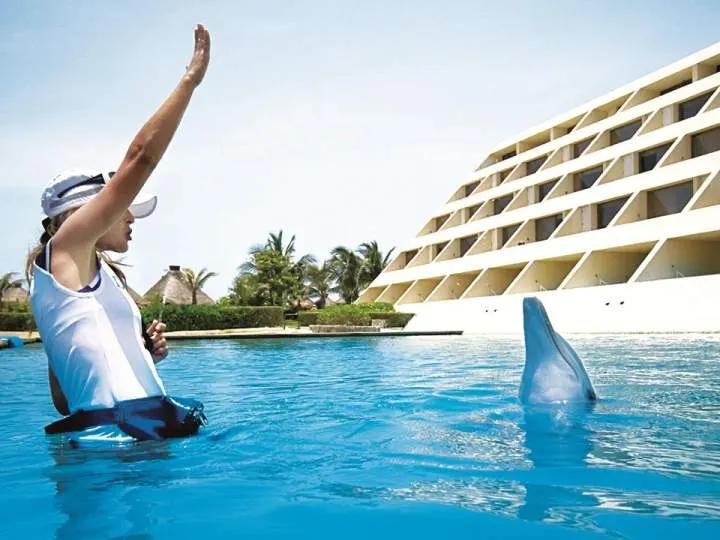 Dolphin Trainer For One Day in Xel Ha — 4