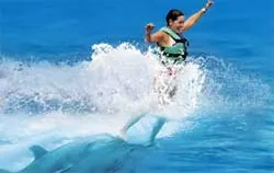 Royal Garrafon VIP and Royal Dolphin Swim — 2