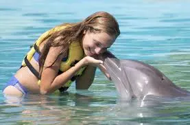 Friendly Encounter