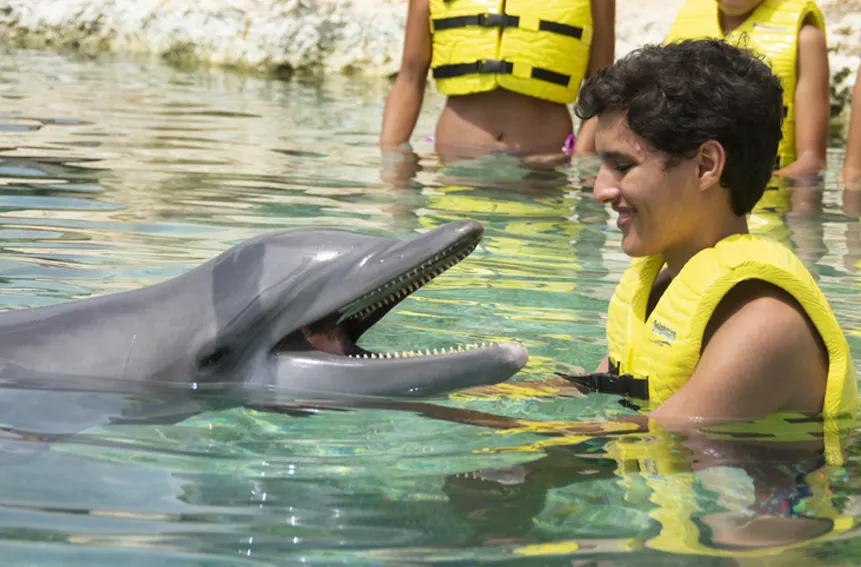 Friendly Encounter — 2