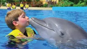 Friendly Encounter — 5