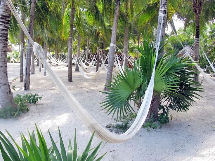 Xel-Ha and Swim with Dolphinclusive Ride — 3