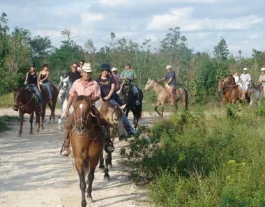 Jungle Horse Back Riding
