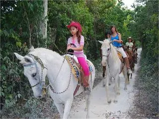 Jungle Horse Back Riding — 2