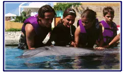 Dolphin Splash in Cancun, Puerto Morelos or Riviera Maya