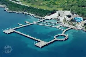 Isla Discovery Basic