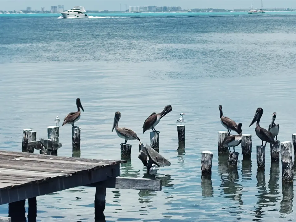 Catamaran Adventure to Isla Mujeres — 3