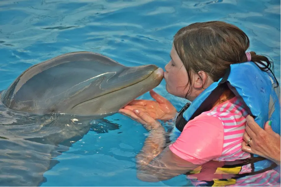 Catamaran Sail, Snorkel & Dolphin Swim At Isla Mujeres