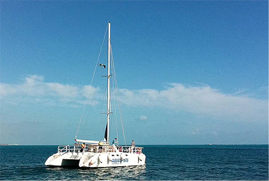 Catamaran Sail, Snorkel & Dolphin Swim At Isla Mujeres — 5