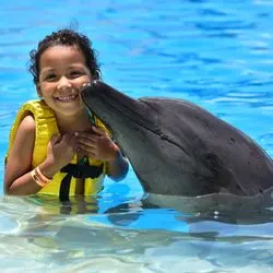 Jungle Tour and Swim with Dolpins — 5