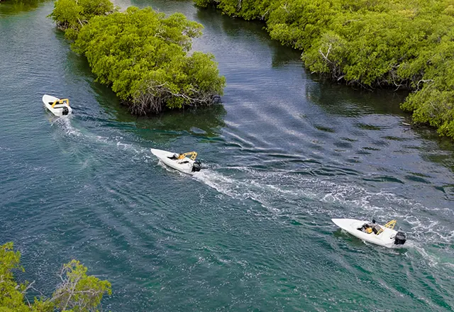 Jungle Tour with Snorkel — 2