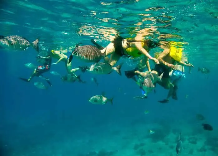 Jungle Tour with Snorkel — 5
