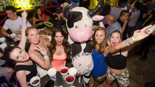 La Vaquita with Open Bar — 5
