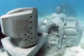 Diving Lesson 1 Tank + 2 Tanks Dive At Underwater Museum — 4