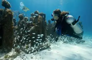 Diving Lesson 1 Tank + 2 Tanks Dive At Underwater Museum — 2