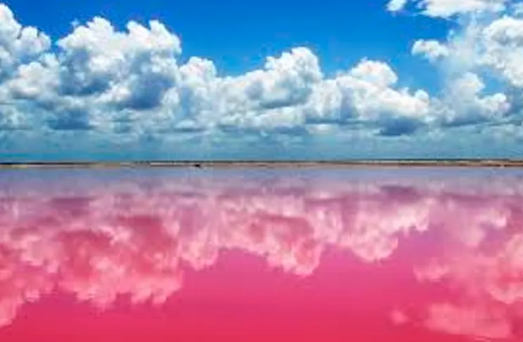 Las Coloradas Tour