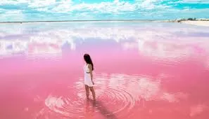 Las Coloradas Tour — 3