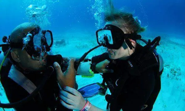 Lesson and Diving