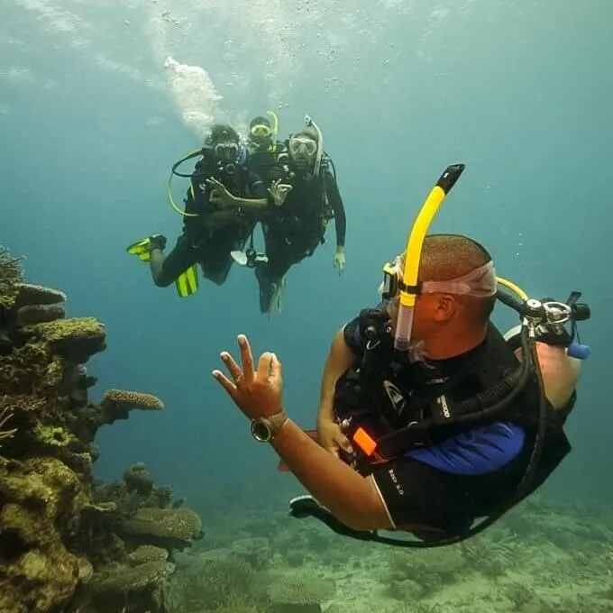 Lesson and Diving — 5