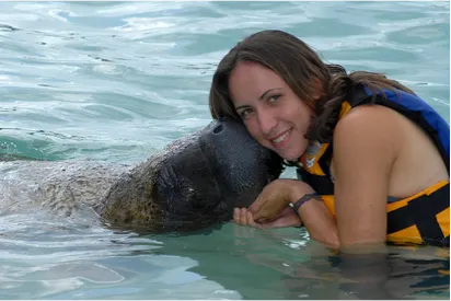 Manatee Interactive in Cozumel — 2
