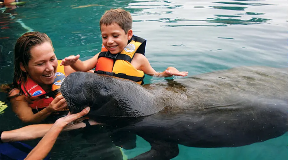 Manatee Interactive in Cozumel — 4
