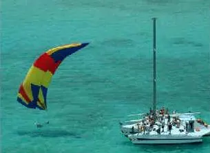 Paradise Reef Snorkel