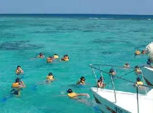 Paradise Reef Snorkel — 4