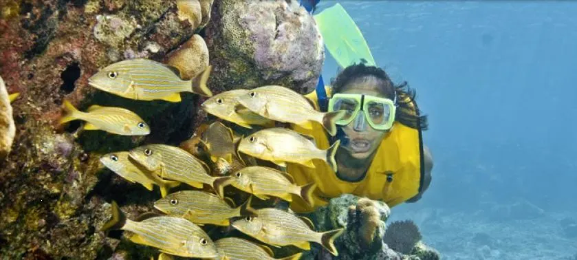 Snorkeling Mayan Adventure — 3