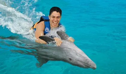 Royal Garrafon and Dolphin Encounter — 2