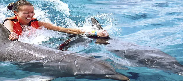 Dolphin Royal Swim VIP in Isla Mujeres — 2