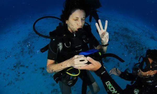 Padi Open Water Course — 3