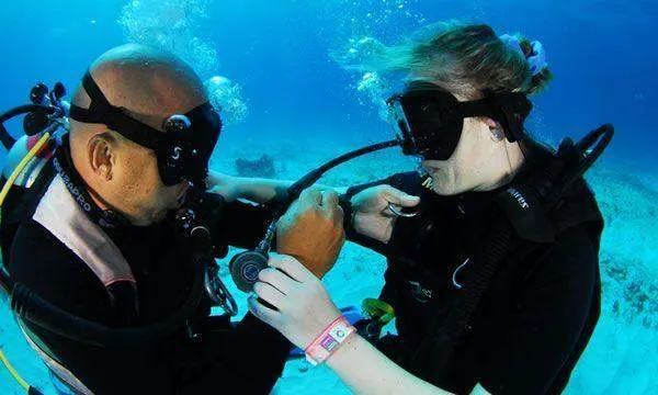 Padi Open Water Course — 2