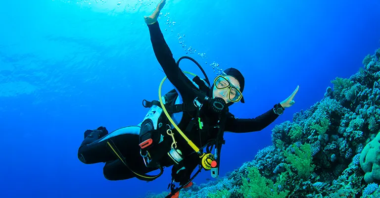 Dive Certification Padi Open Waters — 5