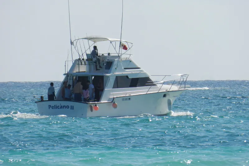 6 HOURS PRIVATE DEEP SEA FISHING (8 people maximum) — 3