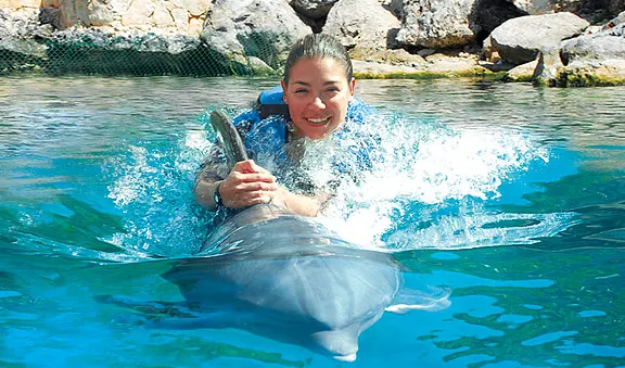 Dolphin Ride + the Great Wheel