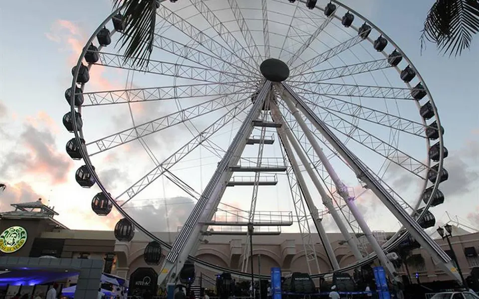 Dolphin Ride + the Great Wheel — 4