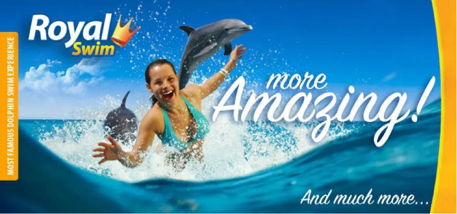 Dolphin Royal Swim At Cozumel