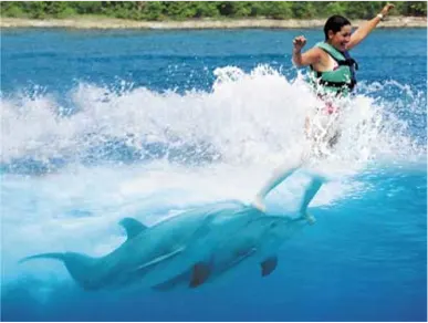 Dolphin Royal Swim en Cozumel — 2