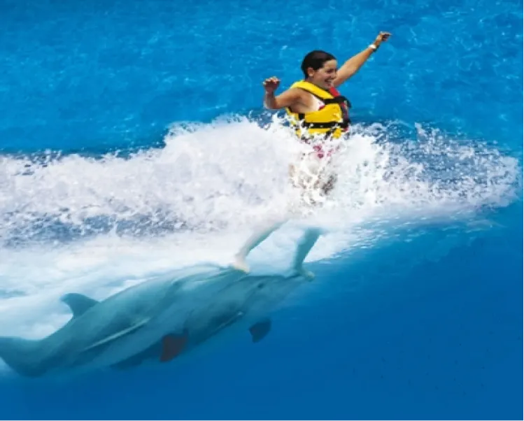 Dolphin Royal Swim en Cozumel — 4