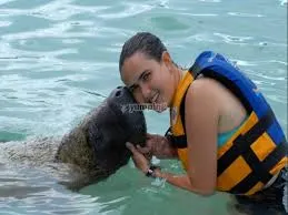 Discovery Species Sea Lions & Manatee — 2